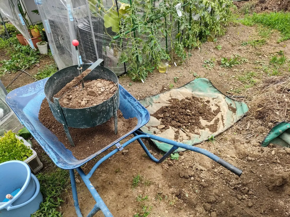 楽天市場】多肉植物 棚（カラーブラック）の通販
