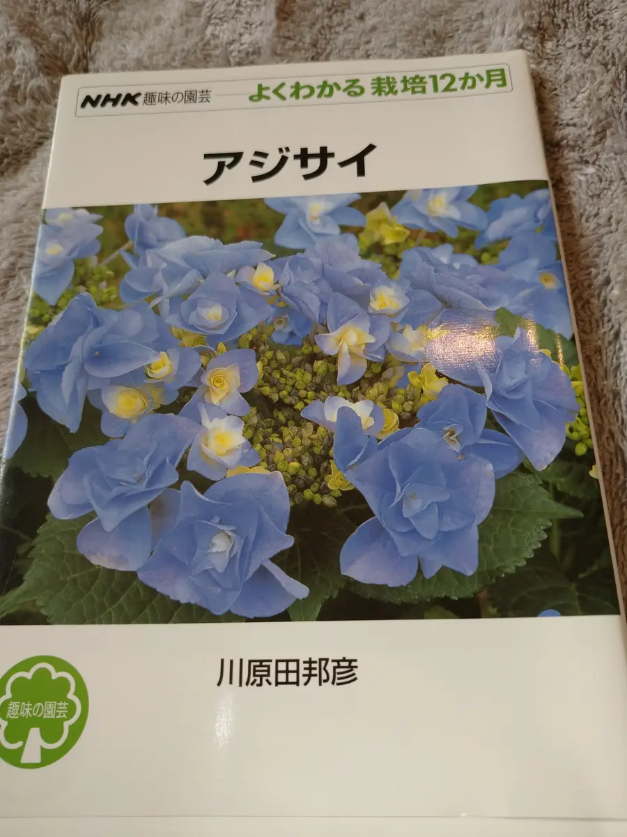 鉢植えのアジサイ(紫陽花)の土の配合についての質問です。園芸