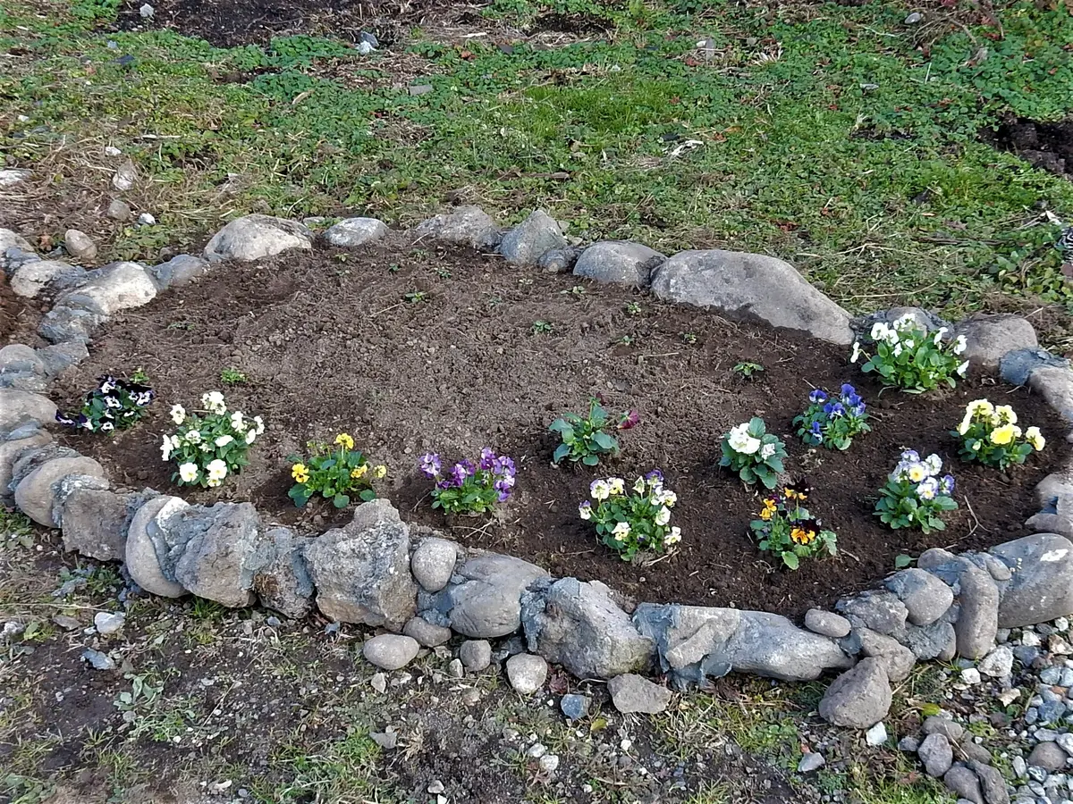 黒土 花壇 畑 ガーデニング