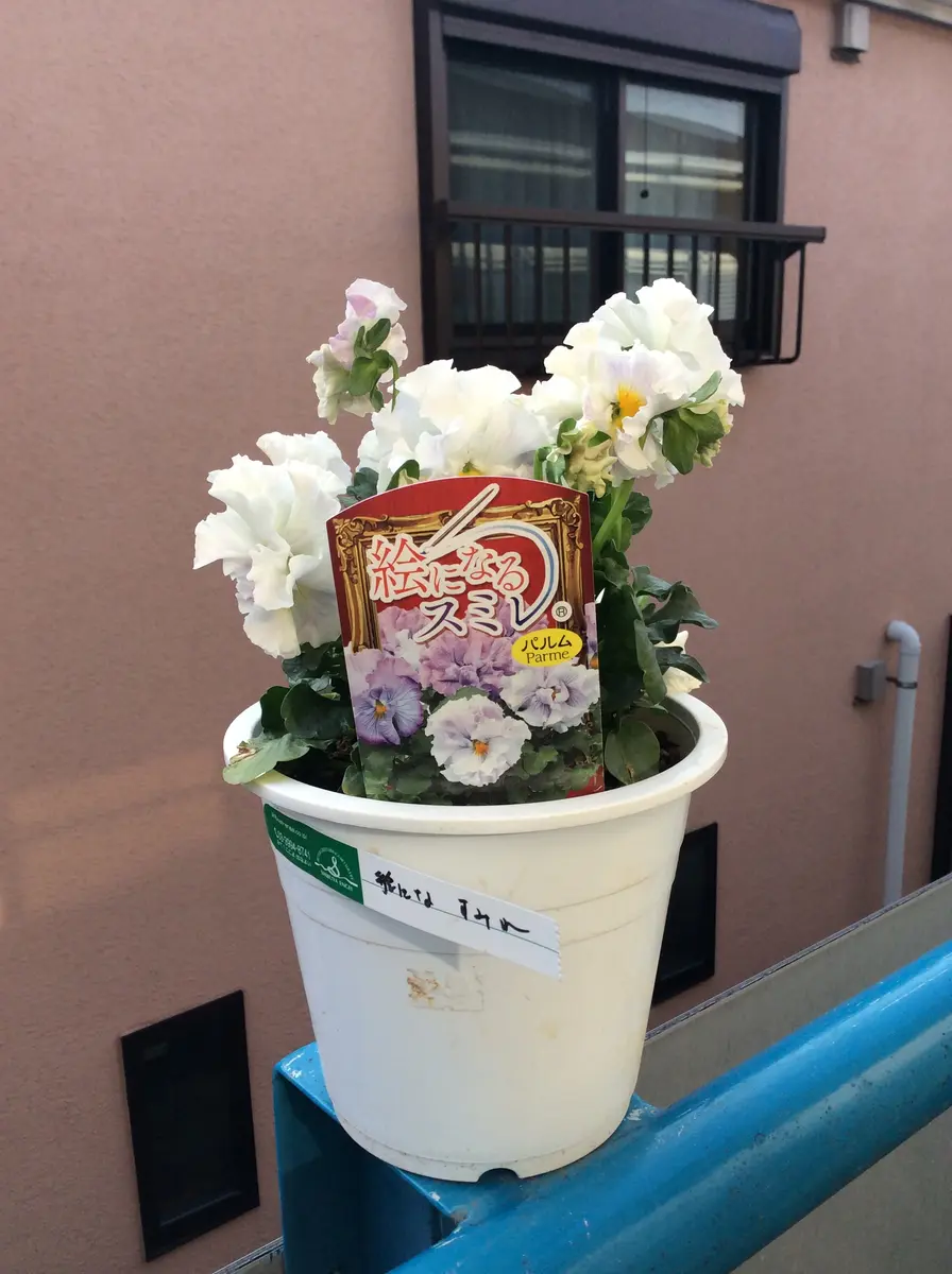 皆さま、よろしくお願いいたします。採種、播種についての質問