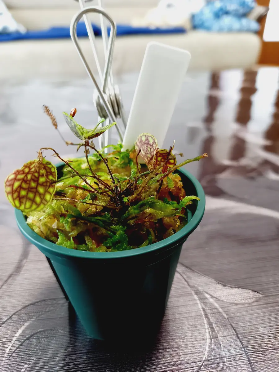 img_cache_q_20652_1_1654307735