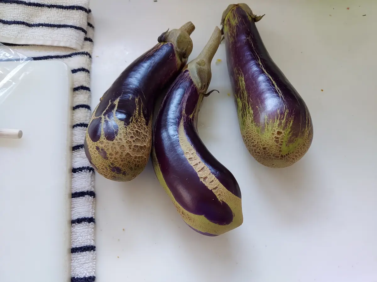 今度は茄子です。直植の方はまぁまぁ順調なのですが、プランタ