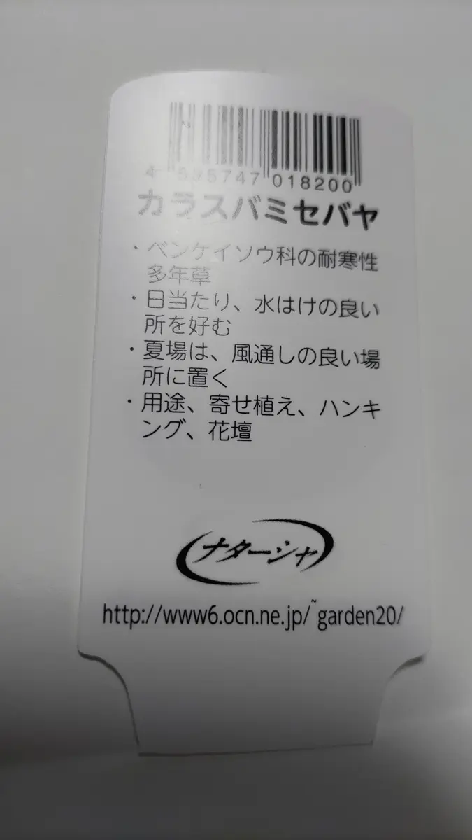 去年の10月下旬に購入しました。ミセバヤとあるのですが、秋で 