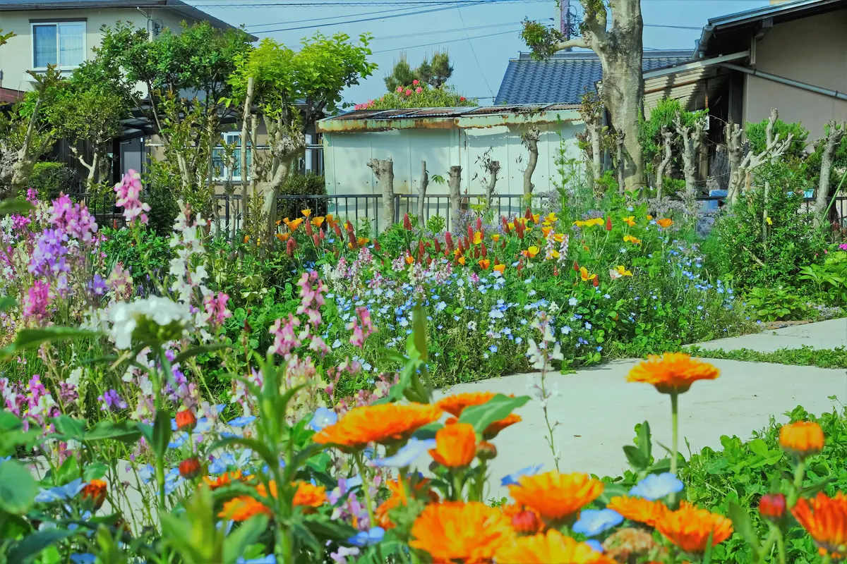 またまた、またまた、昨日に引き続き、アドバイスをお願い致し ..., 画像サイズ:1200x800
