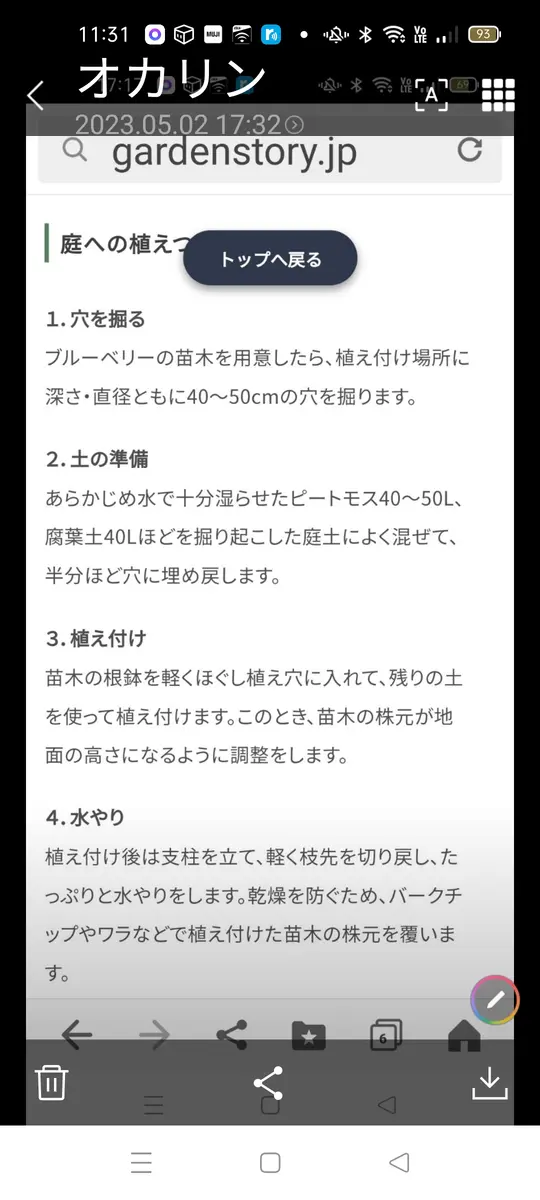 ブルーベリーを写真の植え方を参考にして植え付け、6月実をつ  