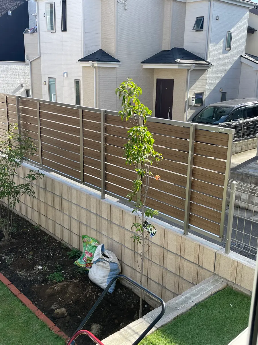 2メートル位の常緑ヤマボウシ 月光です。今日植えました。写｜園芸