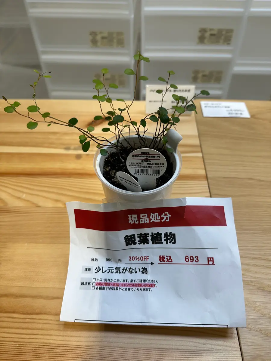 ちえちゃんお取り置き❤ （12/27(金) ようちえん 小桜ちゃん 小花  