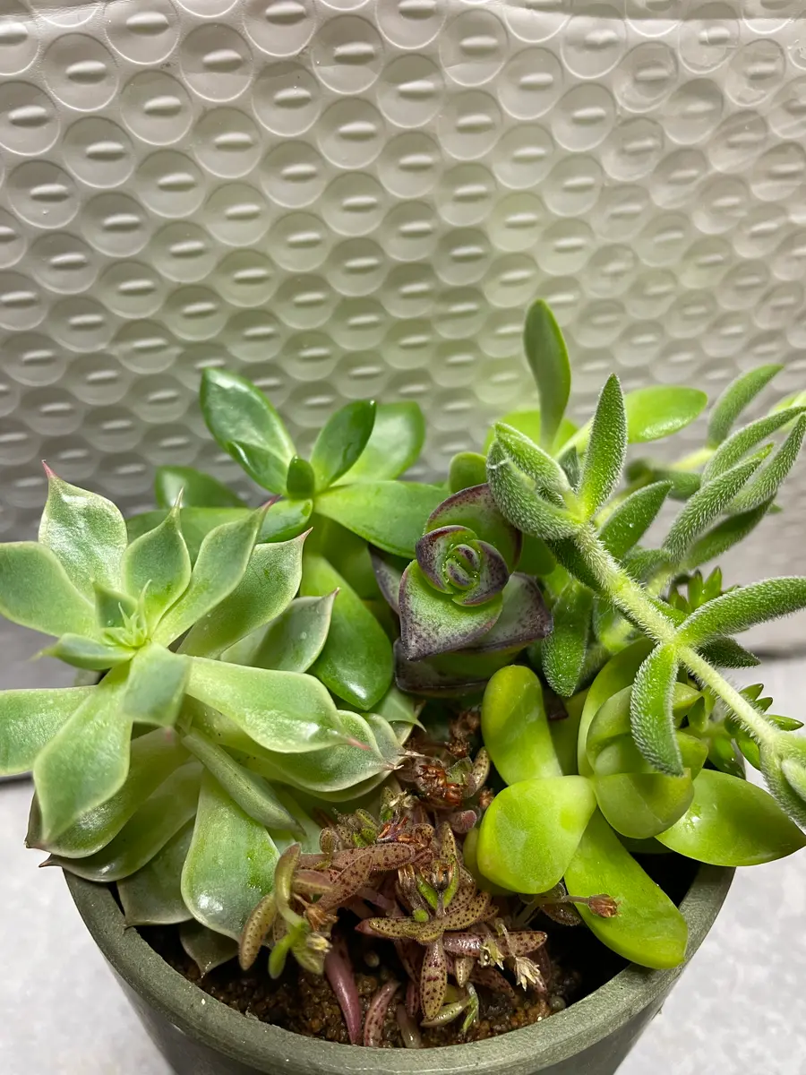 2点ほど質問があるのでご回答いただけると大変助かります。①多