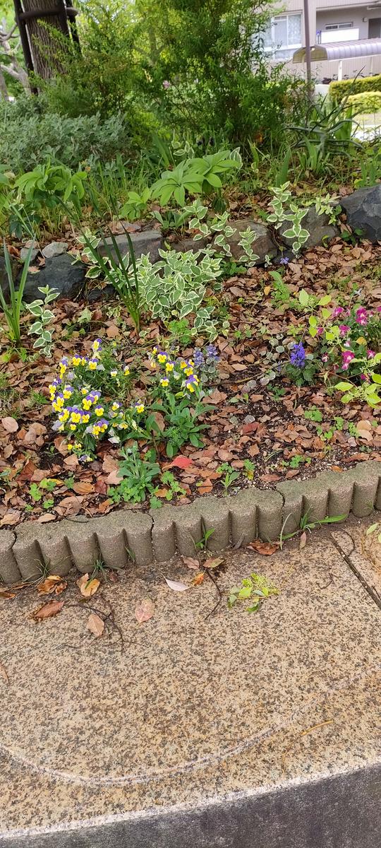 大木の下の植栽に悩んでいます。円形で高台になっている場所...｜園芸 