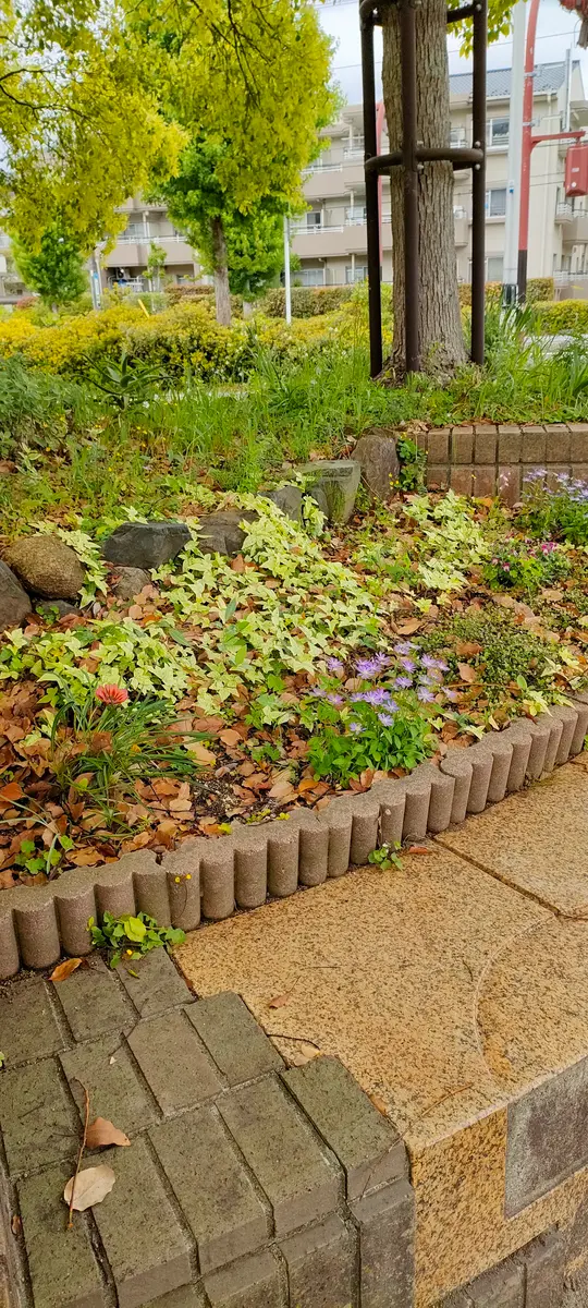 大木の下の植栽に悩んでいます。円形で高台になっている場所...｜園芸 