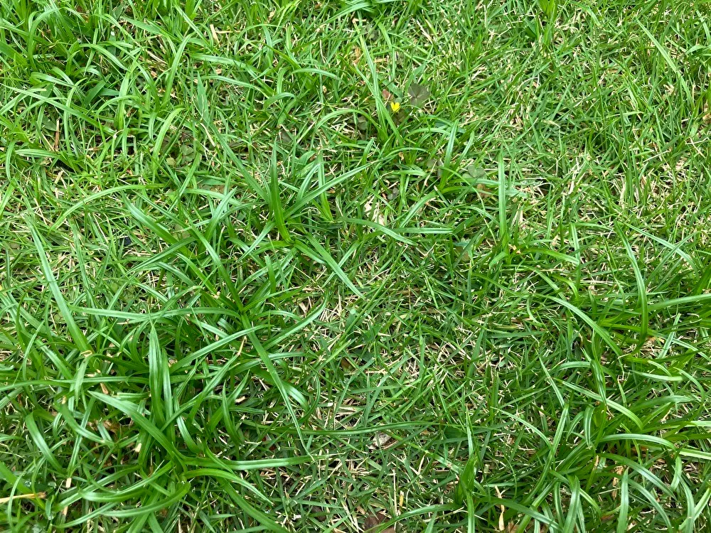 しばふ様(^-^) 様邸