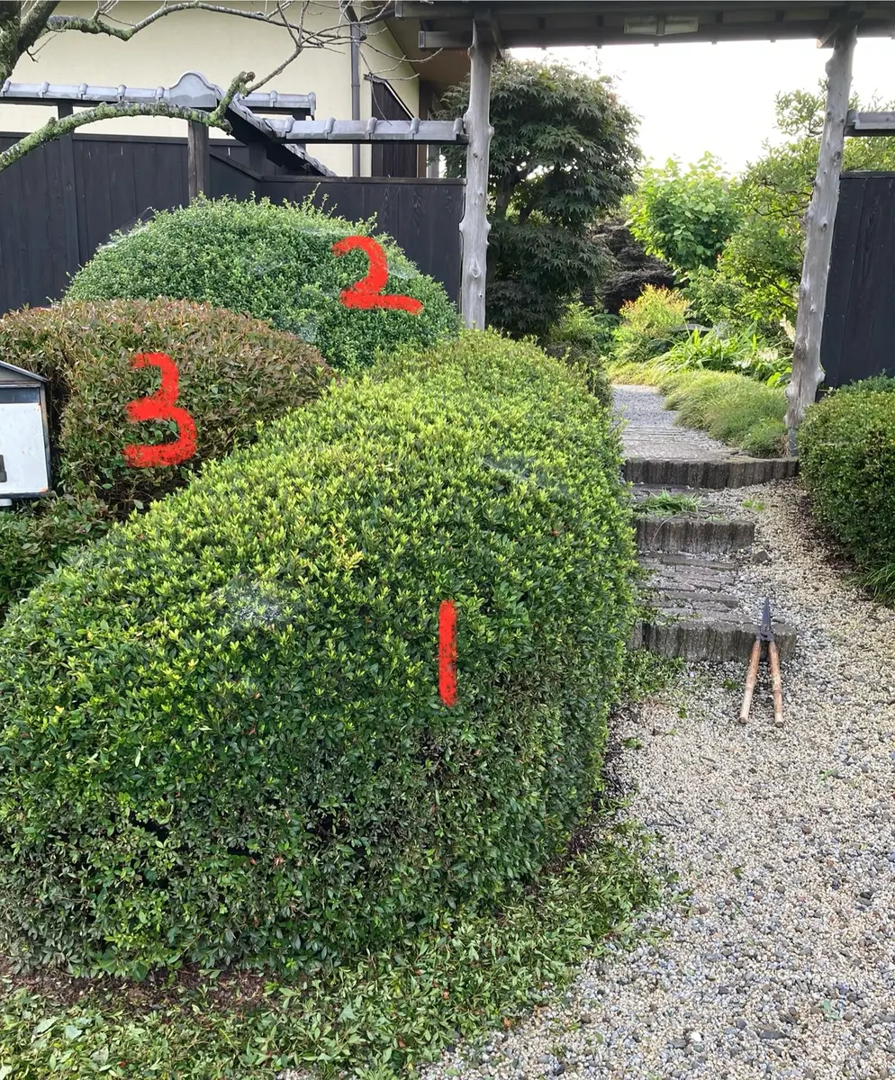 こんにちは。1.ツツジ 2.ツゲ 3.ドウダンツツジです。写真｜園芸