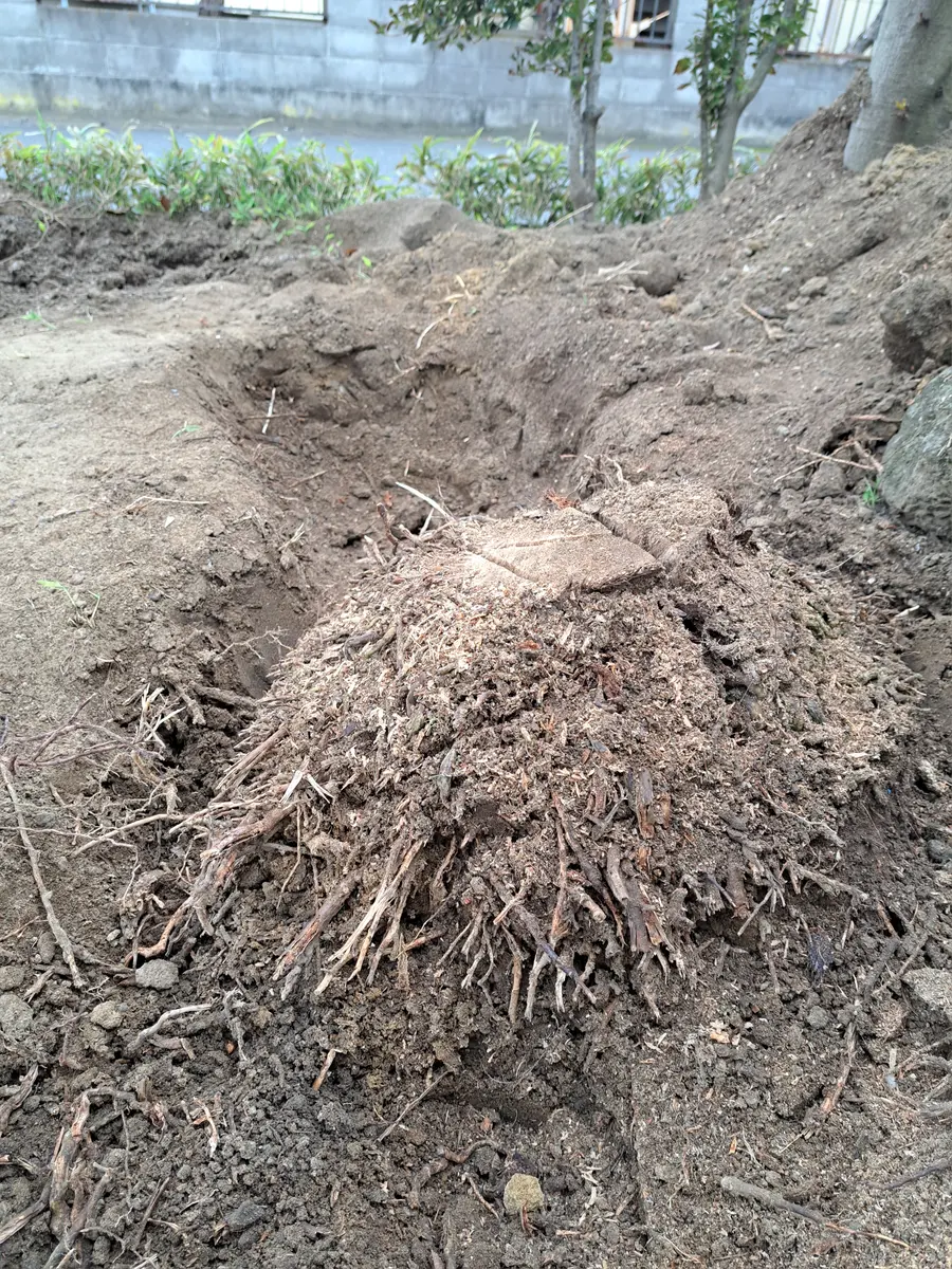 img_cache_q_40259_1_1729608371 