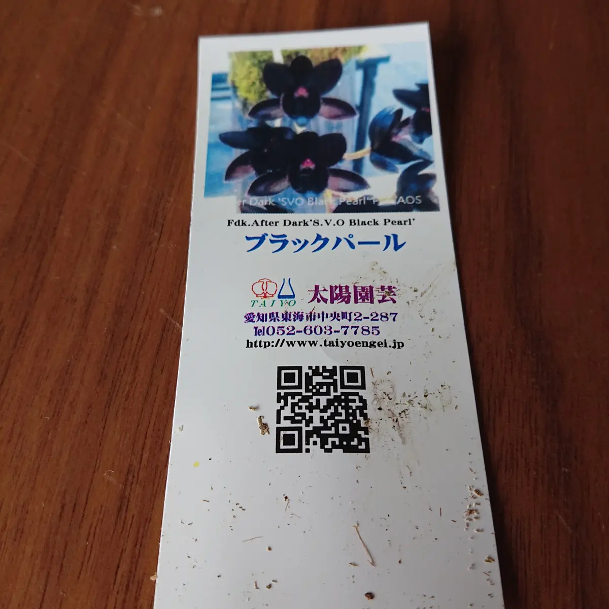 たけのこらんを買いました。2200円でした。たけのこらんで、花