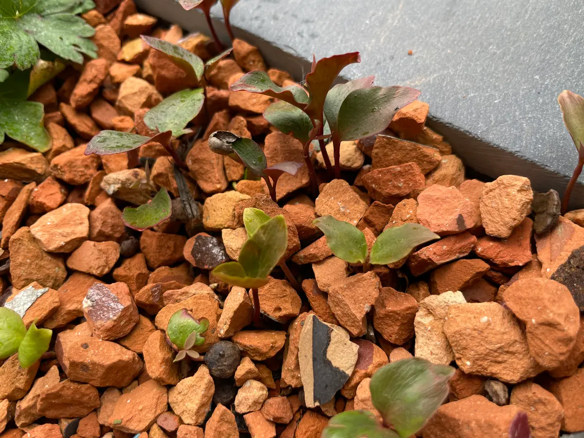 オレンジ 瓦チップ 外構 ガーデニング 2tダンプ配達 東御市～軽井沢町