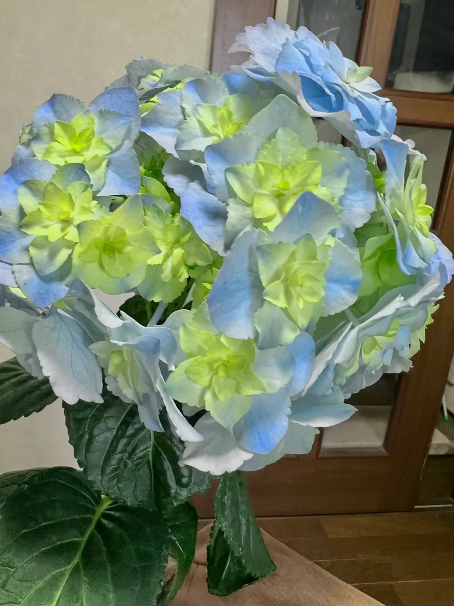 若者の大愛商品 毎度お世話になります。今日買った紫陽花の名前を知りたいです ぬいぐるみ