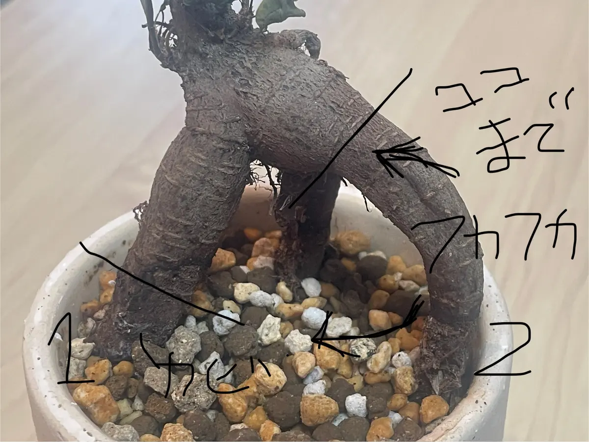 1回も使ってないです。今年の1ヶ月前購入した。 1回も使ってないです。今年の1ヶ月前購入した。