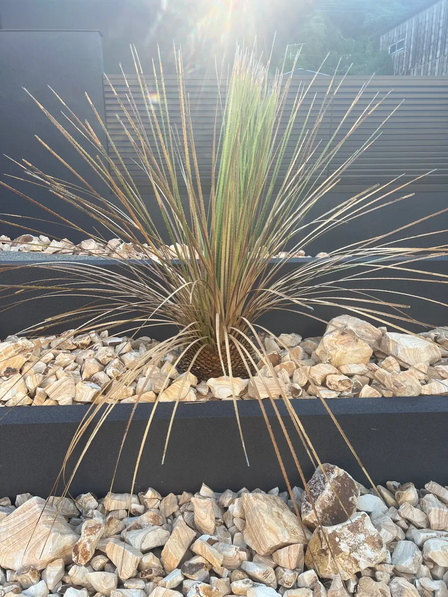 img_cache_q_48325_1_1757113122