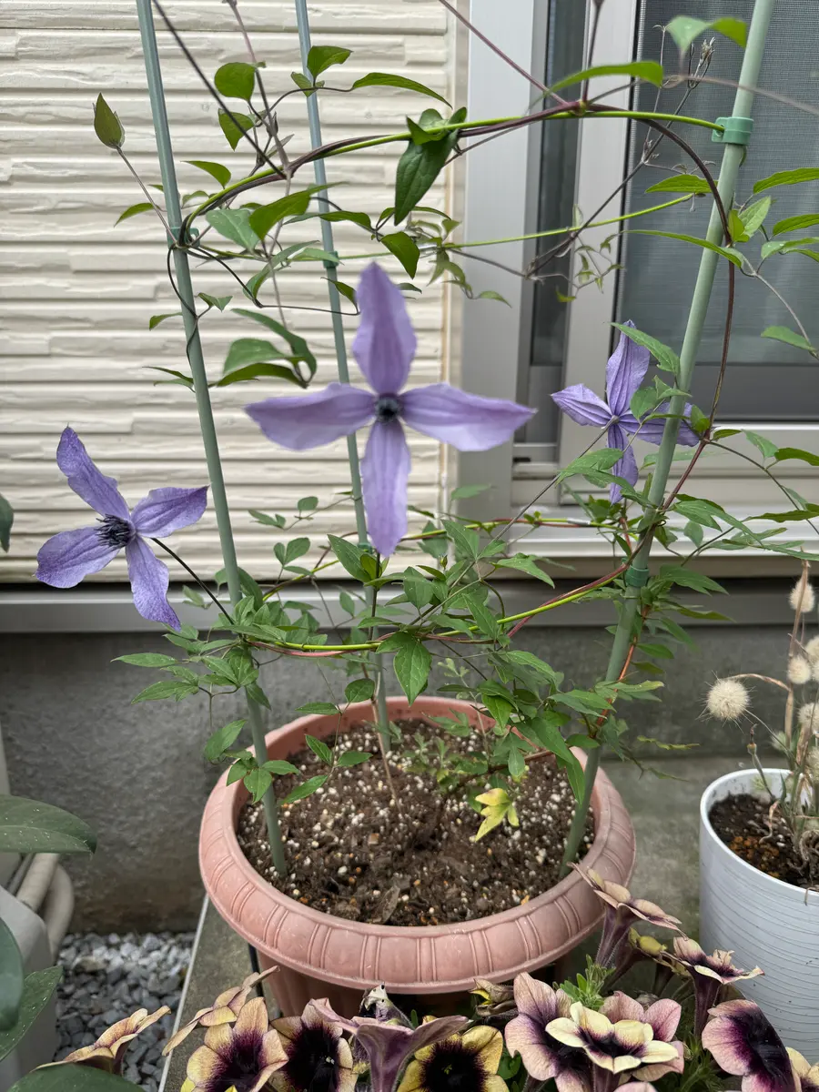 いつも幅広い知識を得られてとても勉強になっています。今日は