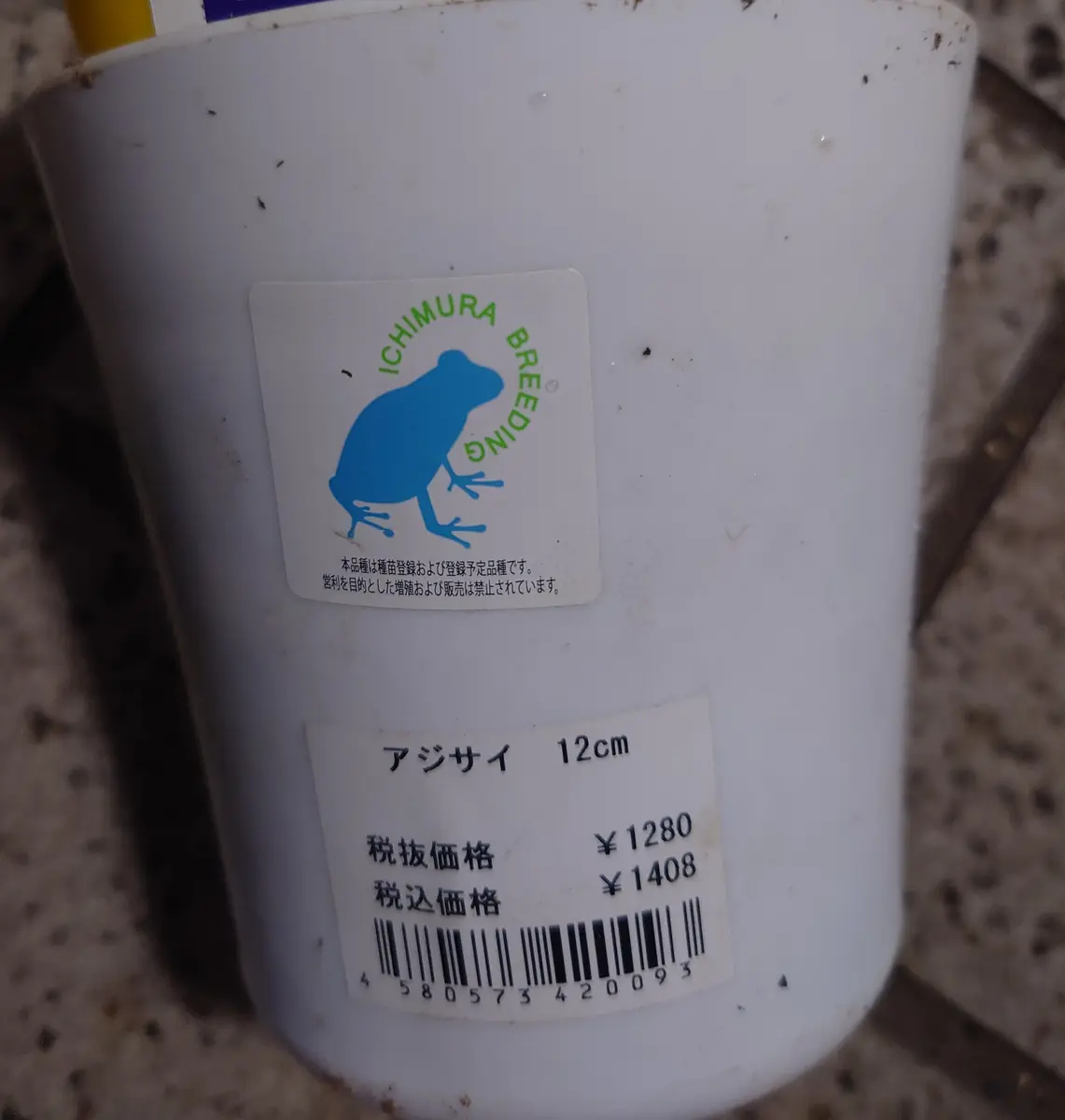 ホームセンターで購入し店員さんにも確認したのですが、品種が