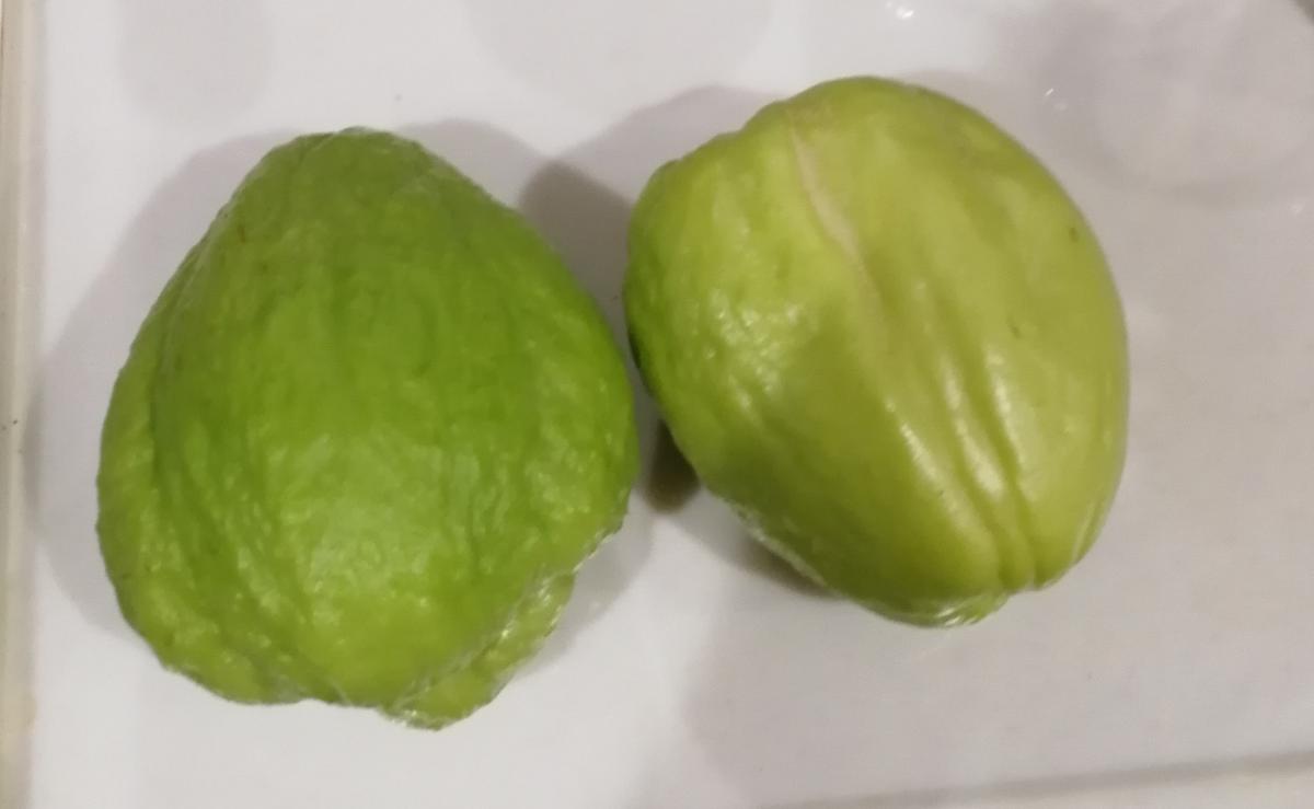 いただいたのですが、ハヤトウリは、種を採れば、増やせますか 