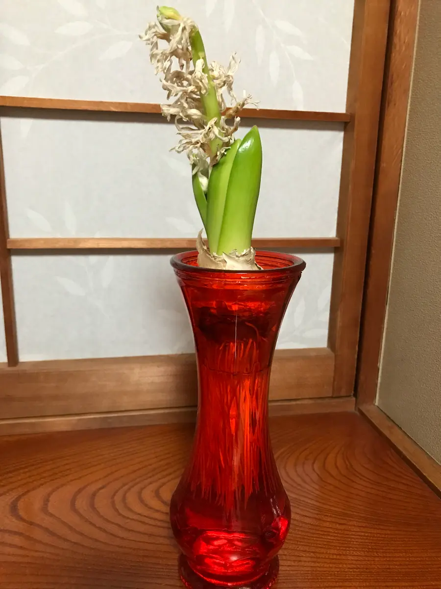 小学生が作った花瓶 突然の才能スゲーww」 小3息子が作った花瓶にママ仰天 “とんでも