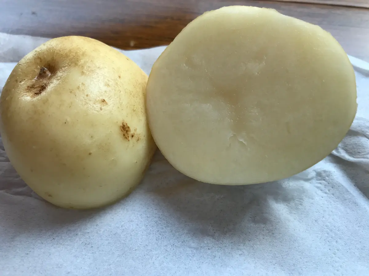 ジャガイモ🥔🥔🥔🥔🥔の種類、教えてください。台所の隅に転が