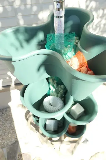 もうすぐ開花 ミニバラ苗まとめて （フラワーネット日本花キ流通