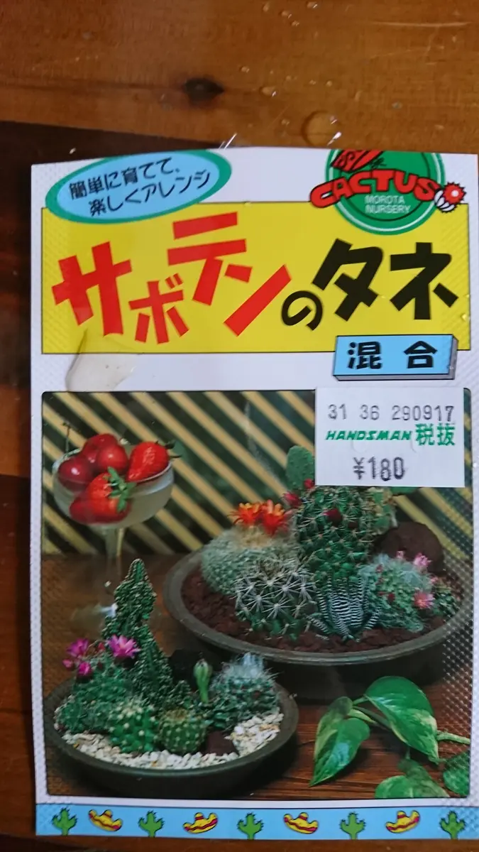 種からサボテン☆チャレンジ｜そだレポ（栽培レポート）bypigpig