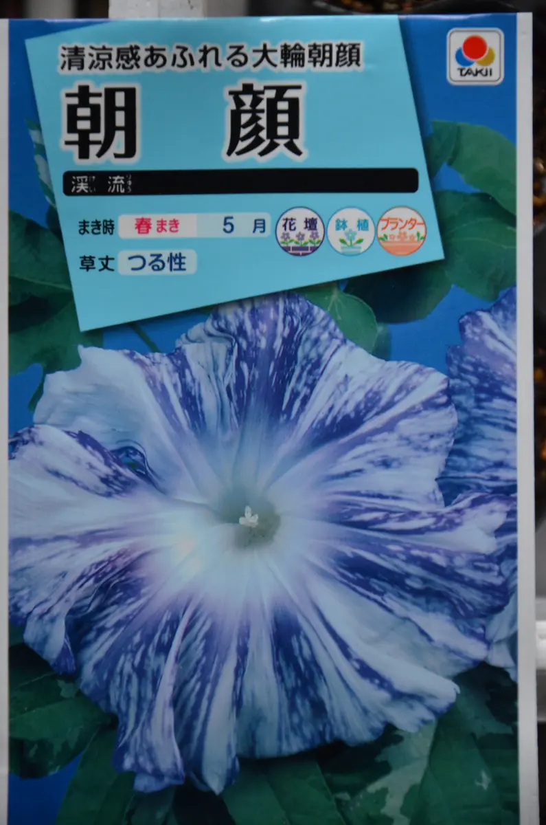 夏を涼しく｜そだレポ（栽培レポート）by赤いハナミズキ｜みんなの趣味