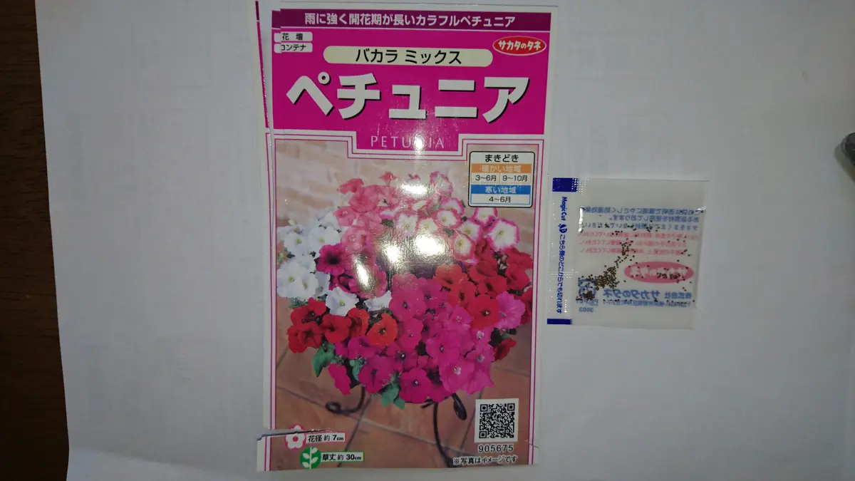 花チャレ」ペチュニアバカラミックス種まき部門｜そだレポ（栽培
