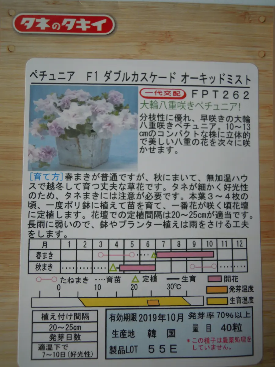 未知の世界へチャレンジ～こんな小さな種を見るのも初めてです｜そだ