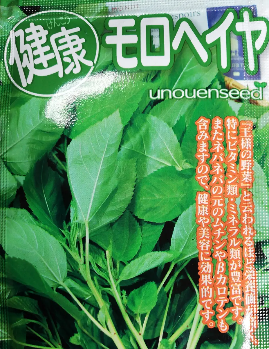 モロヘイヤ🌱種から水耕栽培｜そだレポ（栽培レポート）byかとちゃんず