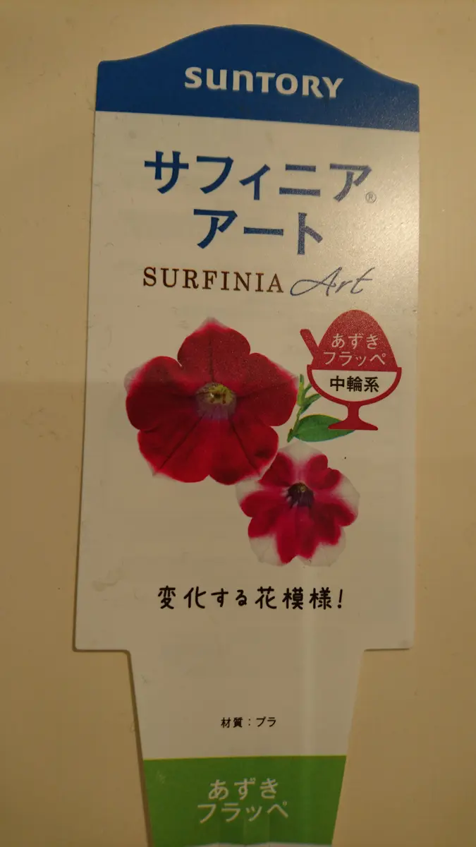 鉢いっぱい咲かせたい！｜そだレポ（栽培レポート）byhua｜みんなの