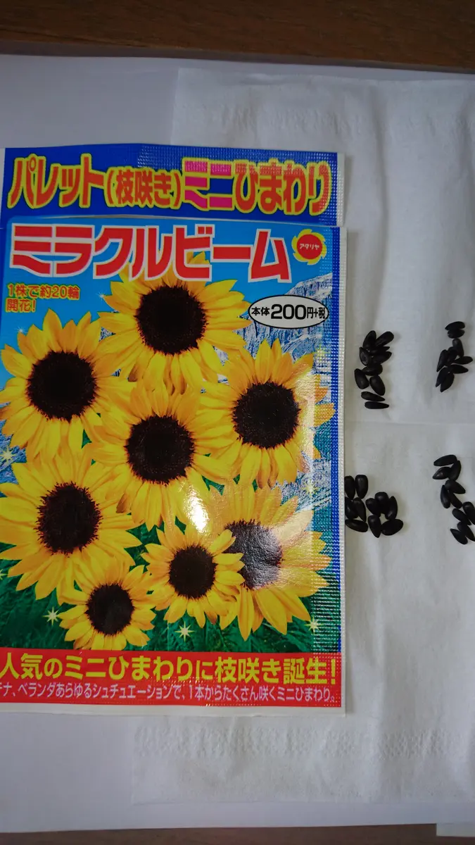 4月15日種まきスタート｜そだレポ（栽培レポート）byAZUKI