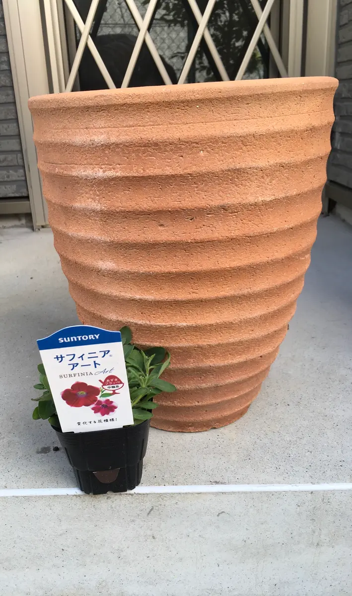 あずきフラッペをこんもりとアートに咲かせる花チャレンジNO.2｜そだ