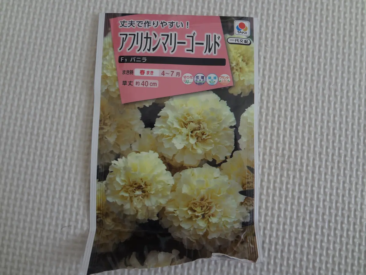 咲いてねF1バニラ!!~初めて種から育ててます~|そだレポ 咲いてねF1バニラ!!~初めて種から育ててます~|そだレポ