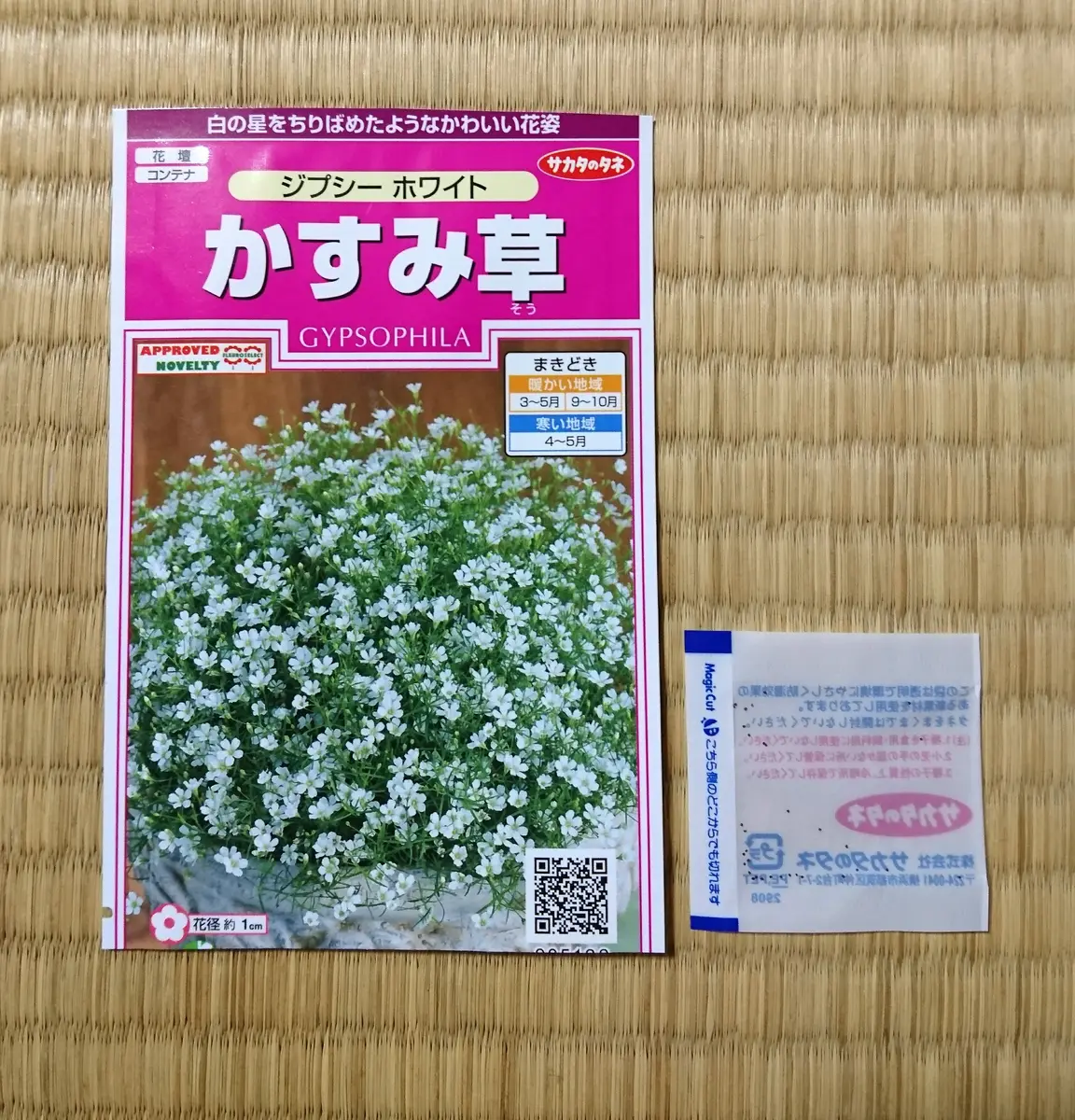 かすみ草さま　白のみ生地終了 カスミソウジプシーを種から育てるチャレンジ♪｜そだレポ（栽培