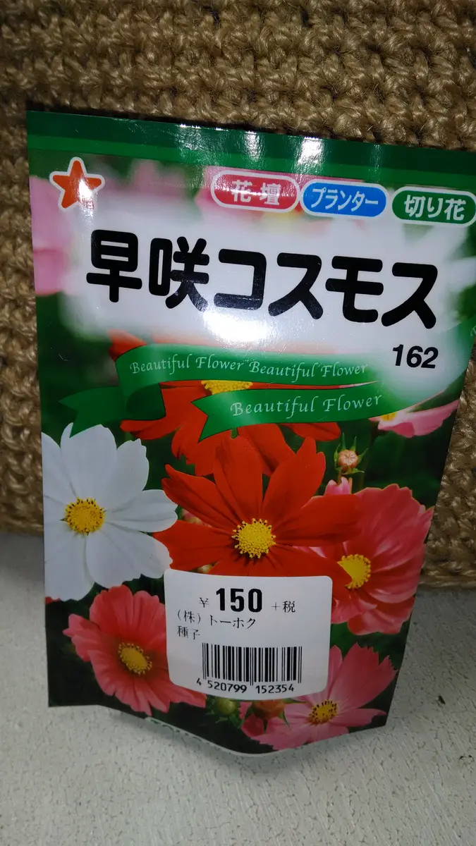 コスモス 様 おまとめページ コスモスを咲かせたい。｜そだレポ（栽培レポート）byひみつのアッコ