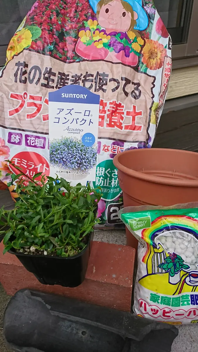 むせるようなアローズコンパクトに憧れて、懲りずに挑戦します。｜そだ 