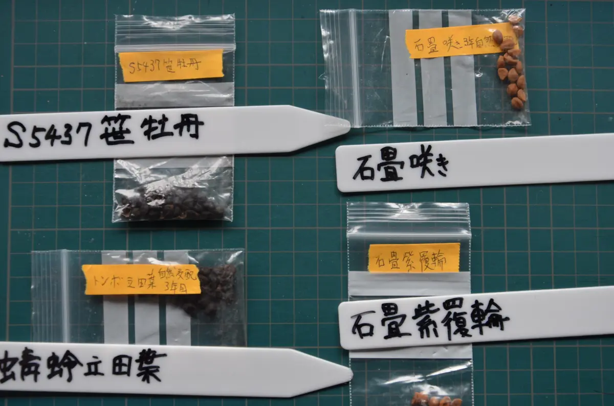 あさのおまけ　ご確認ページ iDeCo「お取引状況のお知らせ」のWEB受取への切替について | 最新情報