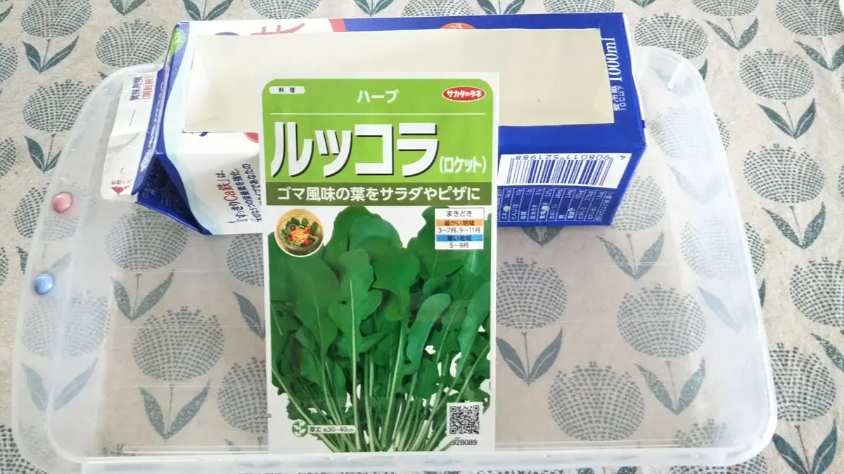 ルッコラが好き過ぎて、育てルッコラ。(^-^ゞ2019.6月｜そだレポ（栽培