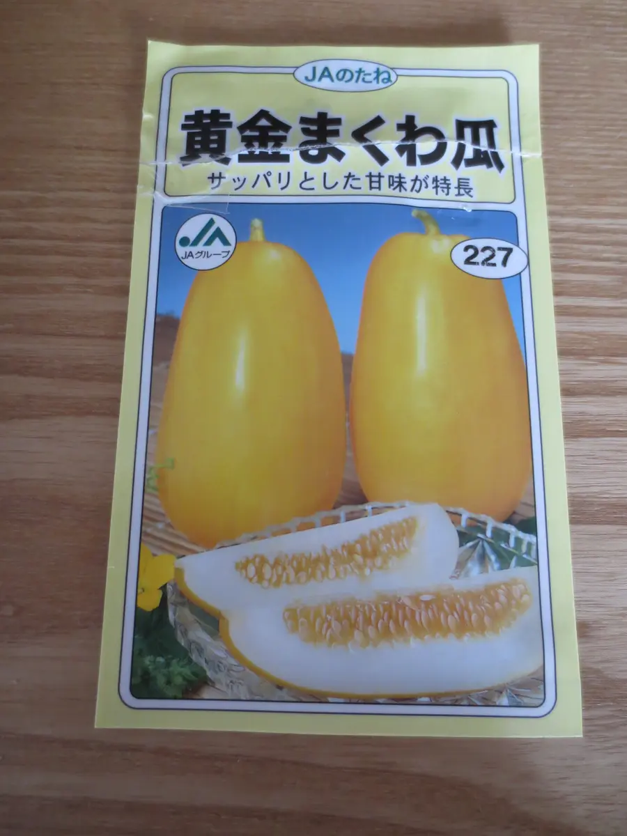 黄金まくわうりを種から育てる｜そだレポ（栽培レポート）byマレーネ