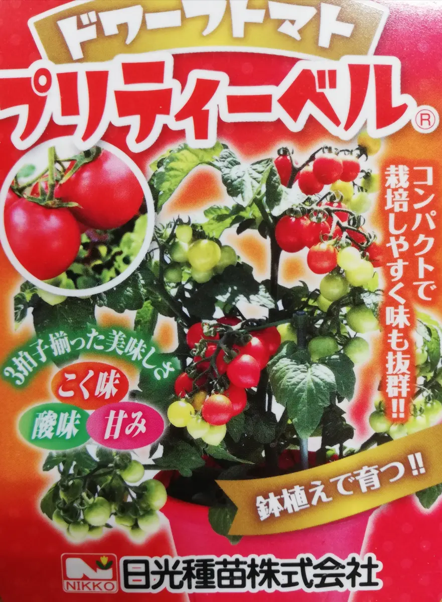 ブッシュトマトの種(コンパクト・ドワーフトマト) ブッシュトマトの種(コンパクト・ドワーフトマト) トマト の 種
