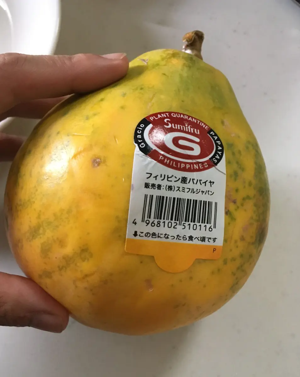 鈴なりの青パパイヤ 茨城県筑西市 | 花野果ガーデンへようこそ