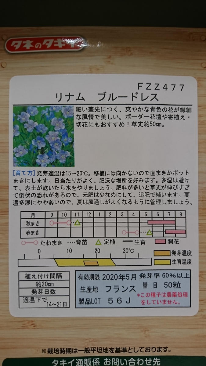 お初リナム☆青いお花が見れるかな？?｜そだレポ（栽培レポート 
