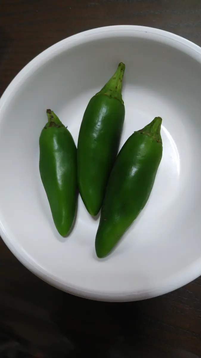 ポロポロピーマン様ご確認ページ ポロポロピーマン様ご確認ページ