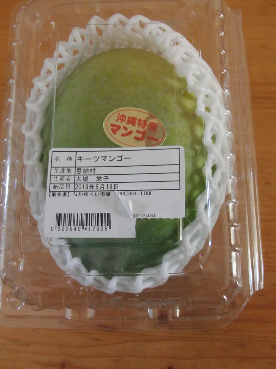 現品】紅キーツマンゴー苗木 別名：レッドキーツ 9号 マンゴーの木 大