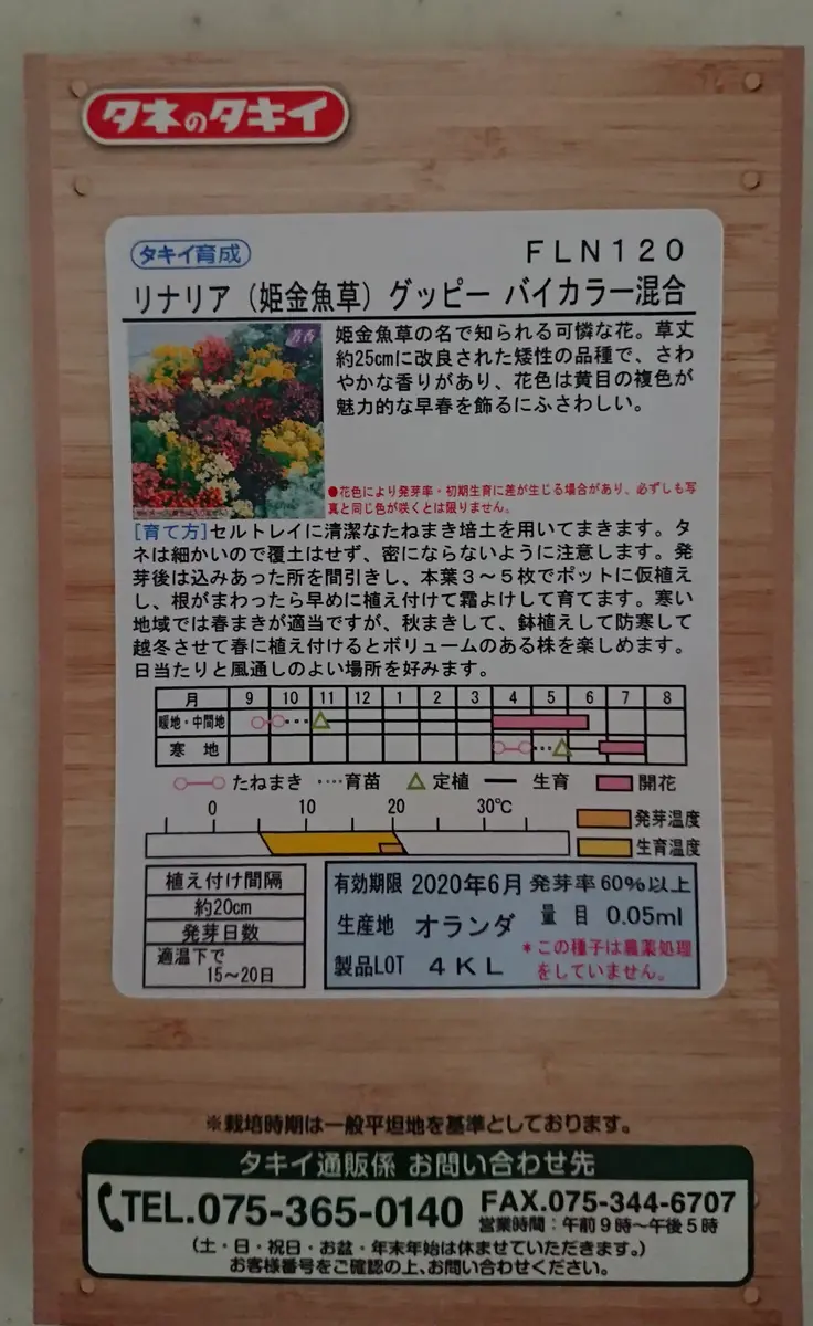 リナリアに種から挑戦｜そだレポ（栽培レポート）bysmama｜みんなの