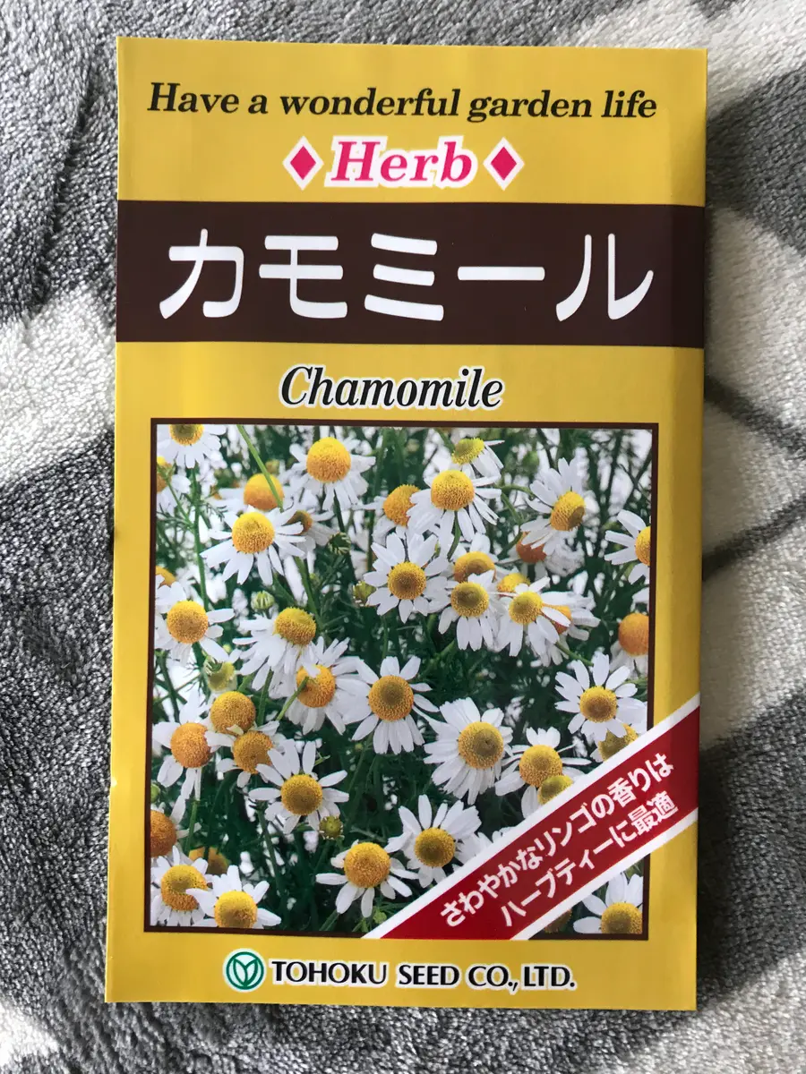 種からカモミールを植えてみよう｜そだレポ（栽培レポート）by
